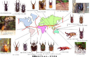 昆虫イベント | 恐竜王国『福井』のイベント会社